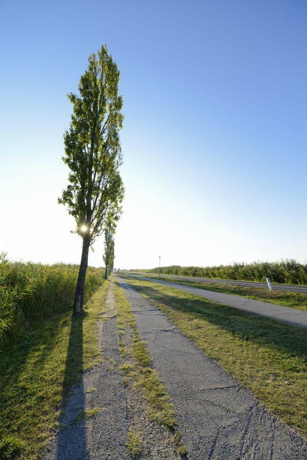 Ferienwohnungen Karoly Mörbisch am See Esterno foto